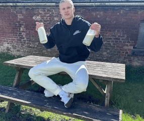 曼城哈兰德惊人食谱曝光 牛心牛肝生牛奶一天6000卡路里=28个馒头